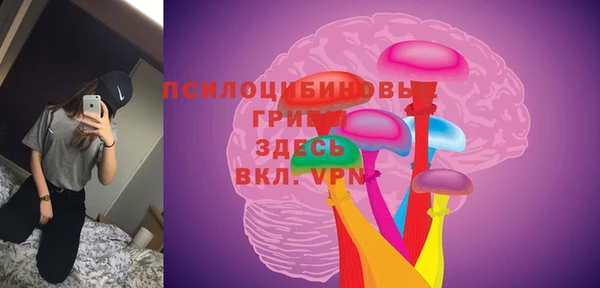 молекула духа Приозерск