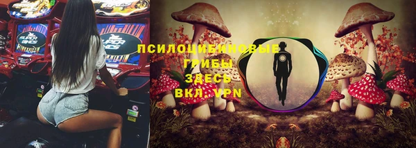 ешки Протвино