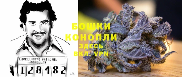 прущие крисы Киров