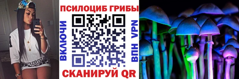 Псилоцибиновые грибы Cubensis  Аркадак 